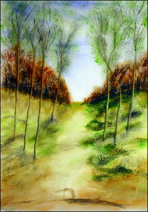 Country Lane